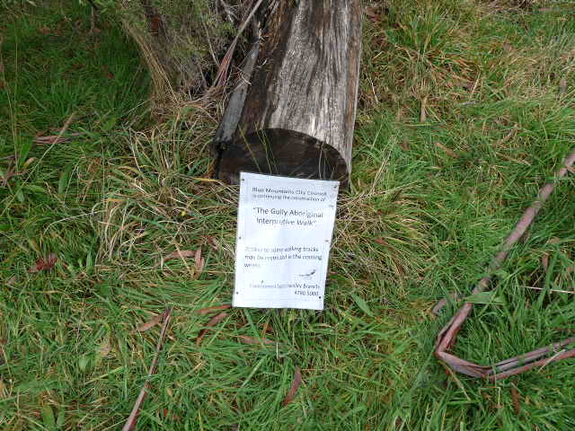 The Gully, Katoomba - proposed interpretative walk